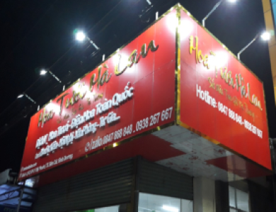 Hoa Tươi Hà Lan 