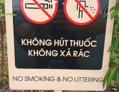 Công trình TAD 11